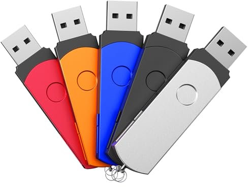 Pendrive 4GB Penna USB 5 Pezzi Chiavette USB - Metallo Pennetta USB 2.0 4 Giga Chiavetta Elegante EURO Chiave USB Flash Drive Girevole - FEBNISCTE Colarate Pen Drive 4 GB Leggeri Set Pennine Regalo