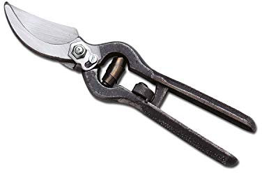 Ausonia - Forbice da vigna forgiata professionale – spalla nera – cm 23