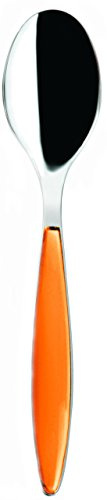 Guzzini Cucchiaio Feeling, Arancione Chiaro, 20.5 cm