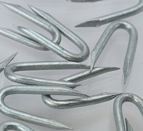 Galvanised Staples (CHOOSE YOUR NAIL SIZE) (CHOOSE YOUR PACK SIZE) Fencing Netting U Staple Nails (50, 40mm)