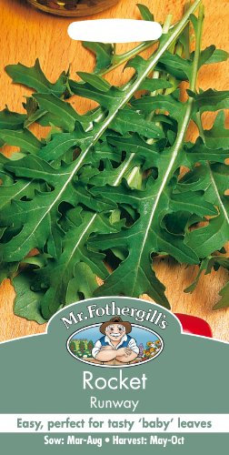 Mr Fothergill's 15956 Vegetable Seeds, Rocket Runway