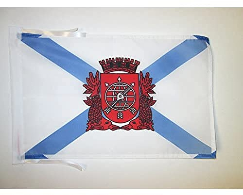 AZ FLAG Flagge Rio de Janeiro 45x30 cm Polyester 100D Kordeln | Für innen und außen dekorative Flagge doppelte Nähte und verstärkte Kanten mit Schnüre 100D Polyester