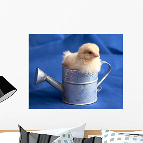 Wallmonkeys FOT-3067567-24 WM108822 Baby Chick in Watering Can Peel and Stick Wall Decals, 24 W x 19 H-Medium