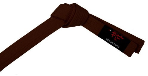 DEPICE Budogürtel braun 300 cm/Kampfsportgürtel Karategürtel Judogürtel
