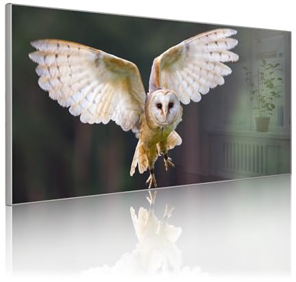 banjado Magnettafel Metall 78 x 37cm - beschreibbare Magnettafel - Metall Pinnwand als Memoboard - Magnetwand Küche, Büro, Kinderzimmer Grau inkl. 4 Magnete & Montageset - Motiv Schleiereule
