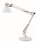 Alba ARCHI BC Lampe architecte fluorescente avec pince et socle Blanc