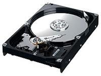 Samsung Hd250hj Interne 250 Go SATA 8 Mo Disque Dur 7200 TR/Min