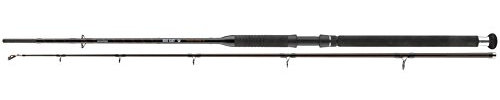 Cormoran BIG CAT Power Lifter 2tlg. 100-400g 2.40m
