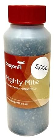 Dragonfli Mighty Mite Terra - Predatory mites kill Sciarid fly, Fungus fly larvae, Thrip pupae (5000 bottled mites)