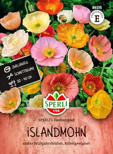 Sperli Islandmohnsamen SPERLI's Zauberspiel 86135, Blumensaat | Dekorative Wahl für den Garten, für Steingärten, Kübel oder Tröge, Ziermohn, zarter Frühjahrsblüher, mehrjährig