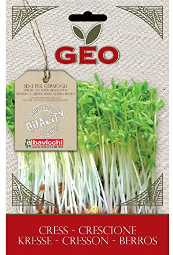 Geo Crescione Semi da Germoglio, Marrone, 12.7x0.7x20 cm