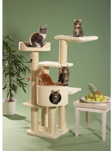 CLEVERCAT Kratzbaum Malta mit vielen Schlaf- und Liegemöglichkeiten im Lammfell Look. Für den verwöhnten Stubentiger und das Moderne Wohnambiente 7104 (24)