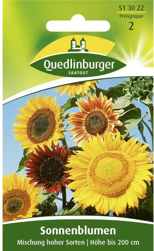 Sonnenblume, Mischung hoher Sorten