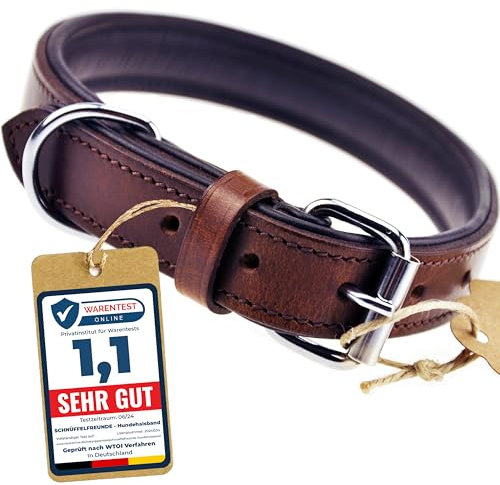 Schnüffelfreunde Halsband für Hunde aus Leder, Hundehalsband für den großen, mittleren und kleinen Hund, Lederhalsband gepolstert, robust (L - 36-45cm, Braun)