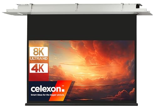 celexon Expert Deckeneinbau Motorleinwand 115 | 250x140 cm 16:9