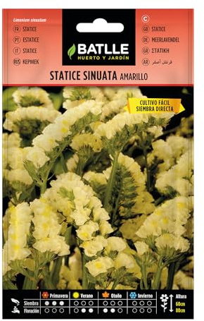 Semillas Batlle Statice Amarillo