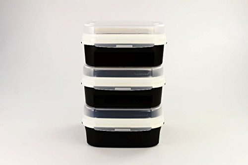 TUPPERWARE Naschkätzchen 1,2 L schwarz flach (3) Vorratshaltung Apollo Royal