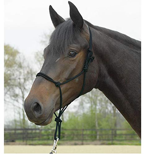 Busse Knotenhalfter Standard, schwarz, WB/KB