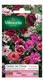 Sachet graines Oeillet de chine double Vilmorin varié