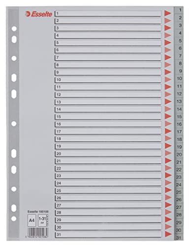 Esselte Register für A4, Deckblatt aus Karton und 31 Trennblätter aus Kunststoff, Taben mit Zahlenaufdruck 1-31, Überbreite, Grau, 100108
