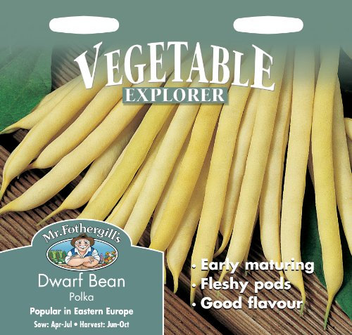 Mr Fothergill's 20046 Vegetable Seeds, Dwarf French Bean Polka, Yellow