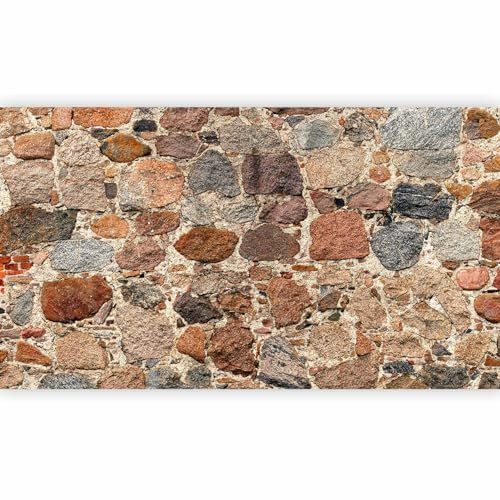 murando - Fototapete XXL Steinwand 500x280 cm - Foto Tapete Schlafzimmer Wohnzimmer Moderne Vliestapete XXL Wandtapete Motivtapeten Bildtapete 3d Effekt Wand Dekoration - Steine Steinoptik 3D Effekt