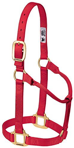 Weaver Leather Original Pferdehalfter, Nicht verstellbar, Nylon, klein, Rot