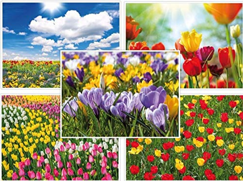 FRÜHLING- & OSTERKARTEN Postkarten-Set (50 St.) u.a. für Postcrossing und Vielschreiber von EDITION COLIBRI