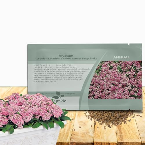 Outsidepride Easter Bonnet Deep Pink Alyssum Seeds - 1000 Pcs Annual, Drought-Tolerant & Pollinator-Friendly Ground Cover Seeds w/Fragrant Honey Blooms for Low-Growing Xeriscaping & Outdoor Planting