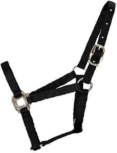 Hamilton 3/4-Inch Nylon Quality Horse Halter, Foal, 100 to 200-Pound, Black