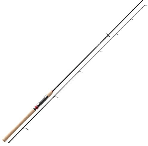 Daiwa Procaster Spin 2,70m 40-80g Spinnrute