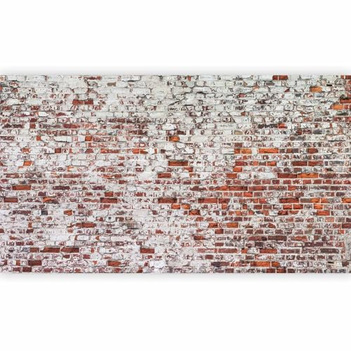 murando - Fototapete XXL Ziegelmauer 500x280cm - Foto Tapete Schlafzimmer Wohnzimmer Vliestapete XXL Wandtapete Motivtapeten Bildtapete 3d Effekt Wand Dekoration - Flu Ziegelstein Mauer f-A-0452-a-a