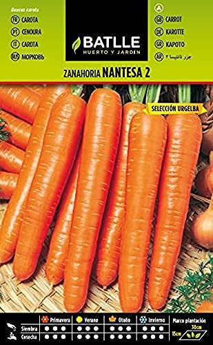Semillas Batlle – Semi di carota