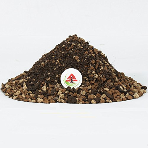 Pagineverdibonsai TERRICCIO Pronto per Bonsai con Akadama, Pomice e Zeolite - 10 lt