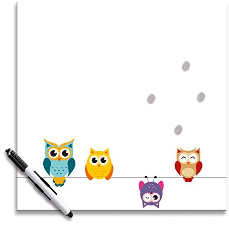 Eurographics MB-DT6440 Memo Tafel, Funny Owls, 30 x 30 cm