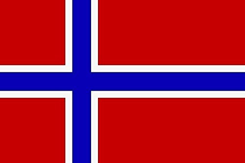 U24 Fahne Flagge Norwegen 60 x 90 cm