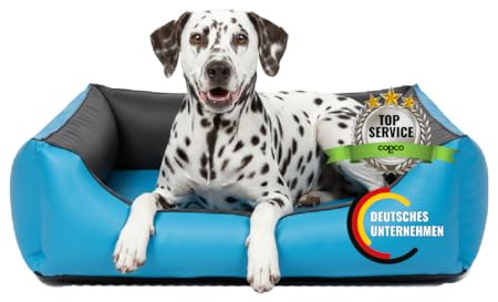 Orthopädisches Hundebett mittelgroße Hunde – Waschbares Hundekissen 【Wendebett】 Hundekorb aus Kunstleder - Formstabiles Hundesofa - Hundekörbchen mit erhöhten Rand, dog bed Türkis/Grau 100 x 80 cm