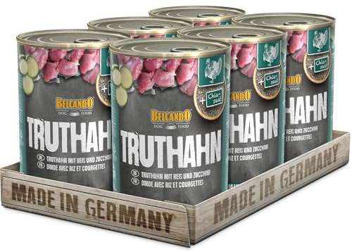 Belcando Super Premium Dose [6x400g Truthahn mit Reis & Zucchini] | Nassfutter für Hunde | Feuchtfutter Dose | Alleinfutter für Hunde Aller Rassen | Belcando | Alleinfuttermittel | zur ausgewogenen täglichen Fütterung | Truthahn mit Reis & Zucchini