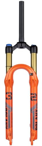 Lega di Magnesio Forche MTB 26 27,5 29 Pollici, Ultra Leggero Mountain Bike Tubo Dritto 1/1-8 Sterzo della Bicicletta Forche Pneumatiche 120mm (Colore : A, Size : 29 inch)