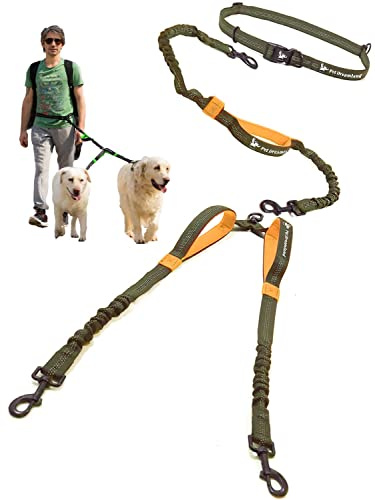 Pet Dreamland Exquisite Hands Free Double Dog Leash for Two Dogs with Tangle-Free Swivel. Premium Quality & Versatile for Running. You Will Absolutely Love This Amazing Waist Leash (Khaki & Orange)