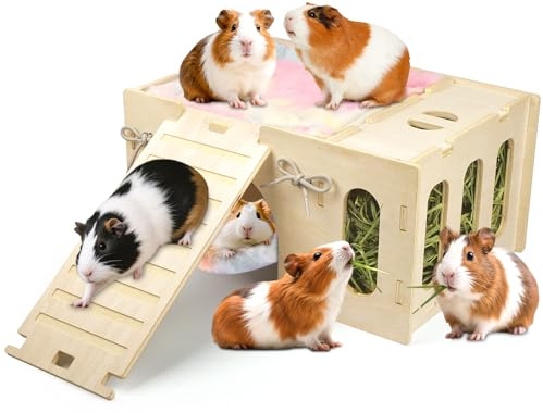 4 in 1 Upgraded Guinea Pig Hideout, Large Guinea Pig Castle with Hay Feeder, Hammock, House and Ramp, Easy to Assemble Wooden Guinea Pigs Toy for Chinchilla Rabbit Guinea Pigs Accessories