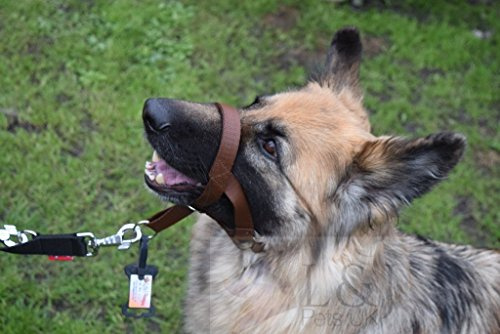 Champ. for L&J Pets UK Hundgrimma/träningshuvud krage – val av färger (1, brun)