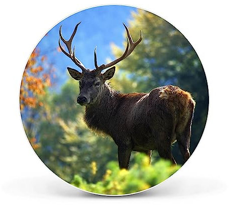 banjado Magnettafel Ø 47cm Weiß - Magnetwand aus Metall - Magnetpinnwand als Memoboard - Pinnwand Magnettafel Küche, Büro, Kinderzimmer inkl. 4 Magnete & Montageset - Hirsch