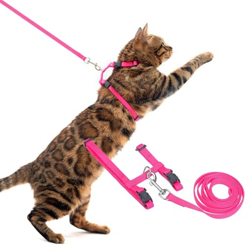 PUPTECK Verstellbares Katzengeschirr mit Leine, Set mit fluchtsicherem Kätzchenhalsband für Spaziergänge, Hot Pink, M