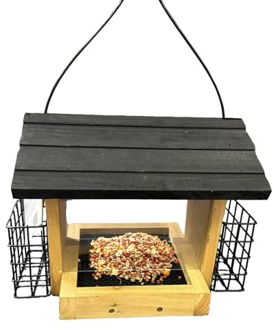 Yorajuy Eichhörnchensichere Vogelfutterspender, Holz, regendicht, Gartendekoration – große Kapazität, stehender Vogelfutterspender, für Finken, Küken, Blauhäher, Bluebird, Hinterhof, Garten, Balkon