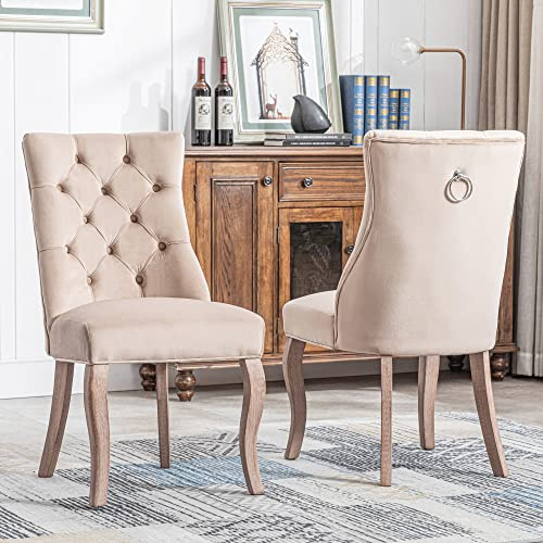 Dolamaní Beige Esszimmerstühle, Luxuriös Weich und Bequem 47cm x 51cm x 97cm Esstisch Stühle, Stuhl mit Hoher Rückenlehne aus Samt und Knopfheftung aus Massivholz (2)