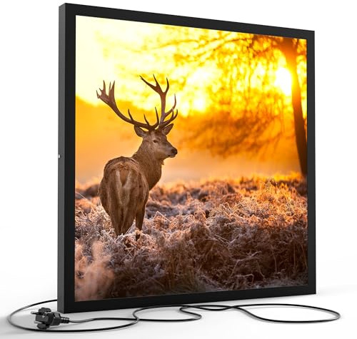 DEQORI LED-Wandbild Hirsch am Wintermorgen | Größe 60x60 cm | moderne Decken- & Wandleuchte mit hochwertigem Motivdruck auf PVC – stilvoll für Büro, Flur & Wohnräume – Farbe: Schwarz