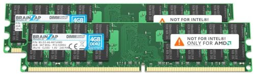BRAINZAP Memorycity PC2-5300U - Tarjeta RAM Memoria DDR2 (8 GB, 2Rx16, 800 MHz, 1,8 V, CL5, 2 módulos de 4 GB)