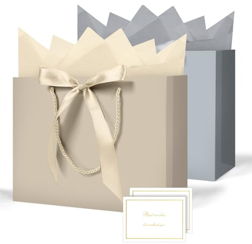 AMFUN Lot de 2 Pochettes Cadeaux avec Anse, Sacs Cadeaux en Papier Avec Ruban d'Arc, Pochettes en Papier avec Anse, Emballage Cadeau pour Noël, les Anniversaires, Mariages, Fête（Or champagne+Gris)