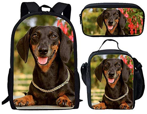 Binienty 3-in-1-Rucksack mit Lunchtasche und Federmäppchen für Kinder, Jungen, Mädchen, Schulschulranzen, Beagle Dog, Einheitsgröße,